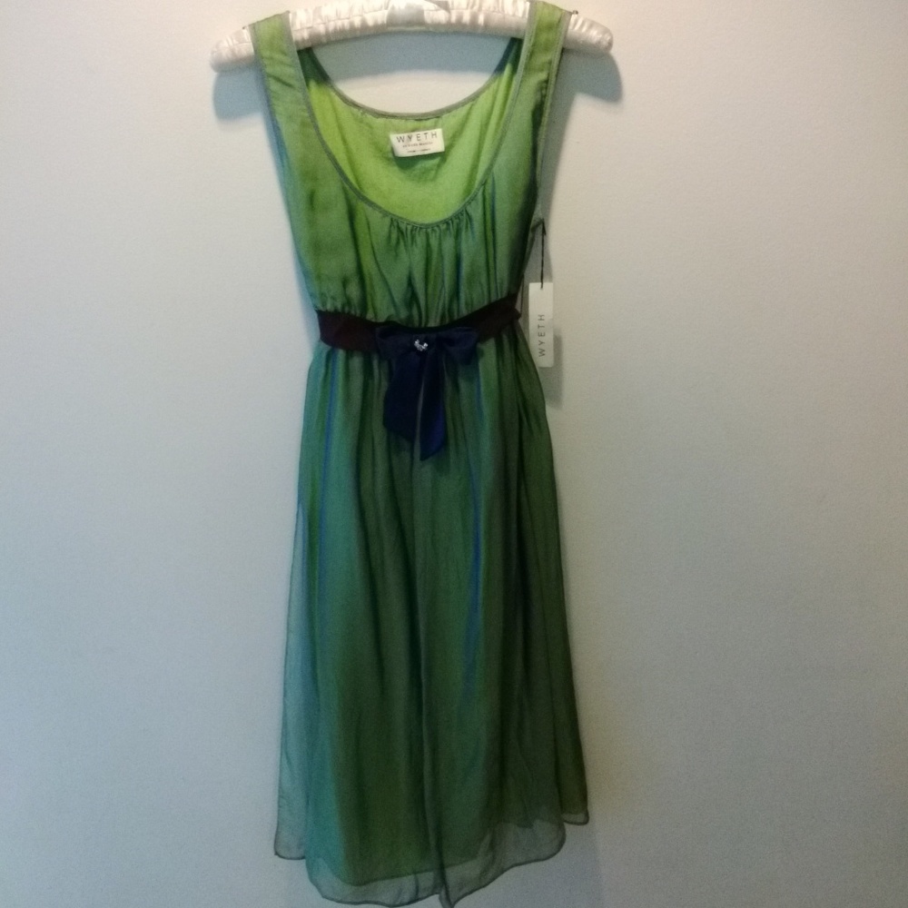 NWT! WYETH Magical Goddess Silk Dress